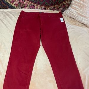 GAP denim true skinny size 33 Regular mid-rise comfy fit w/stretch new w/tags